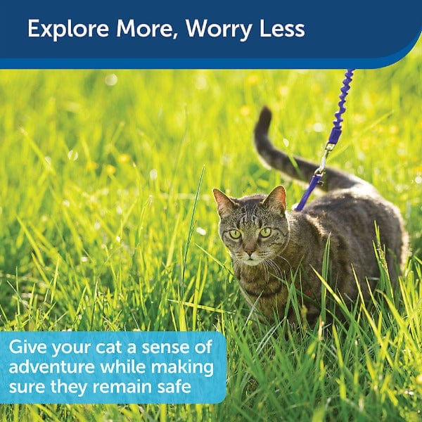 PetSafe PetSafe Come With Me Kitty Harness & Bungee Leash for Cats