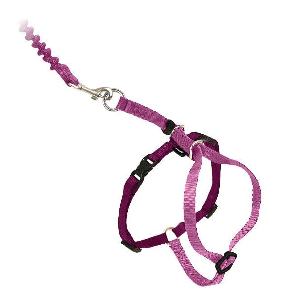 PetSafe Come With Me Kitty Harness Bungee Leash for Cats Petland Canada