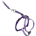 PetSafe PetSafe Come With Me Kitty Harness & Bungee Leash for Cats
