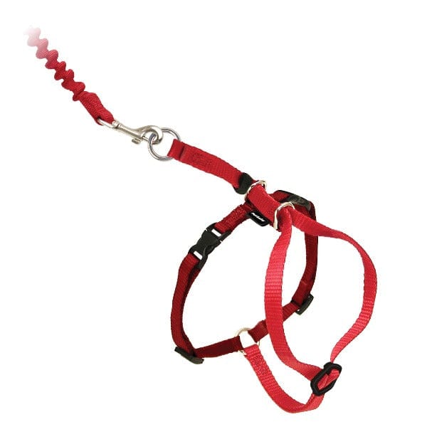 PetSafe PetSafe Come With Me Kitty Harness & Bungee Leash for Cats