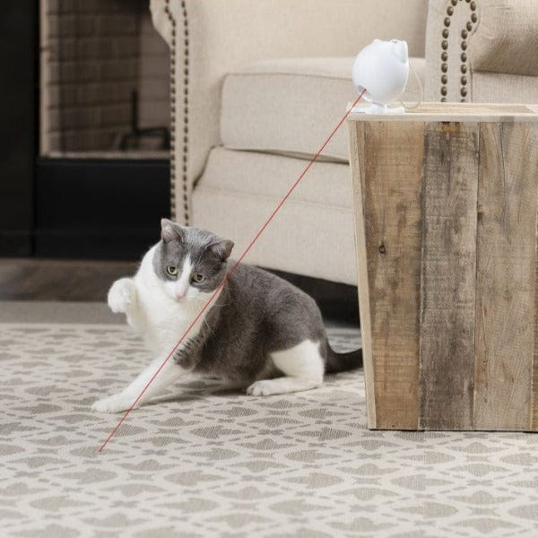 Animal planet pet laser toy sale