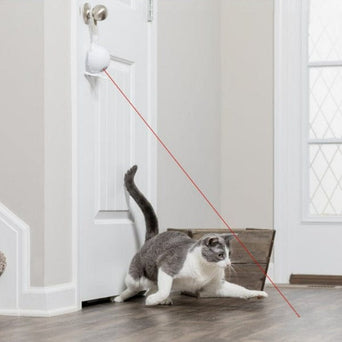 PetSafe PetSafe Dancing Dot Laser Cat Toy