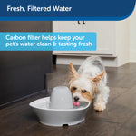 PetSafe PetSafe Drinkwell Ceramic Fountains Replacement Charcoal Filters (4-Pack)