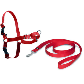 PetSafe PetSafe Easy Walk Harness with Lead