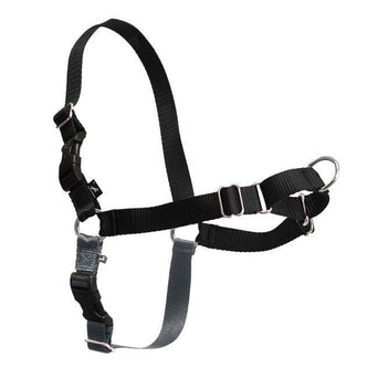 PetSafe PetSafe Easy Walk Harness with Lead