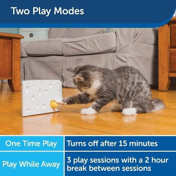 PetSafe PetSafe FroliCat Cheese Automatic Cat Toy