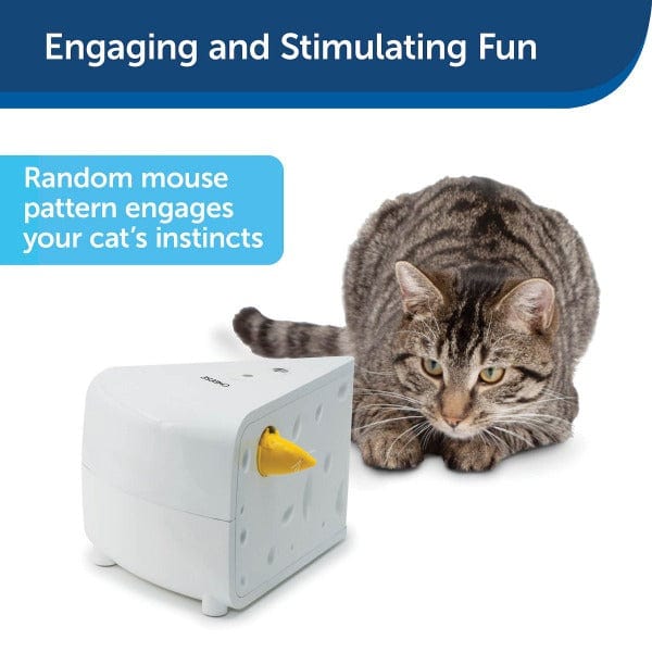 PetSafe PetSafe FroliCat Cheese Automatic Cat Toy