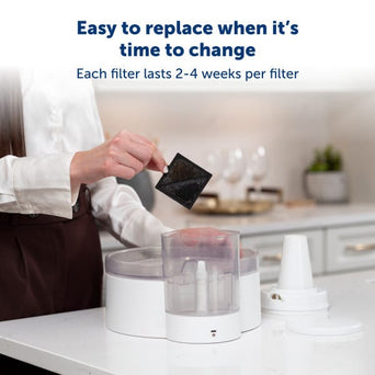 PetSafe PetSafe Ion-X Pet Fountain Filters 4-Pack