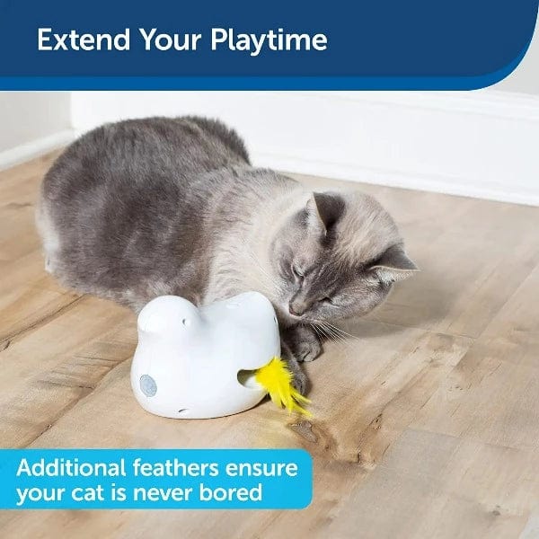 PetSafe PetSafe Peek-A-Bird Cat Toy Replacement Feathers