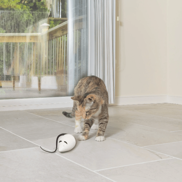 PetSafe PetSafe RoloRat Automatic Cat Teaser Toy