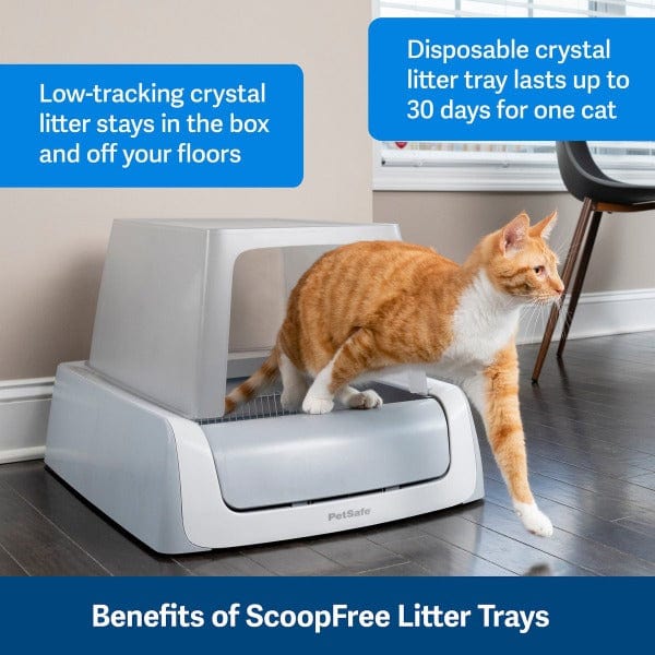 PetSafe ScoopFree Litter Box Replacement Litter Trays – Petland Canada