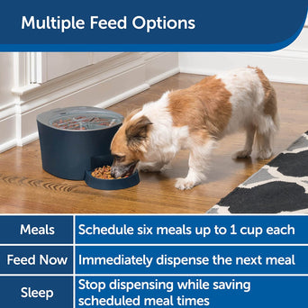 PetSafe PetSafe Six Meal Feeder