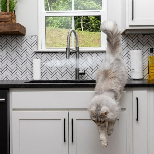 PetSafe PetSafe SSSCAT Automatic Spray Pet Deterrent