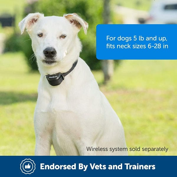 PetSafe Stay Play Wireless Fence Extra Receiver Collar – Petland