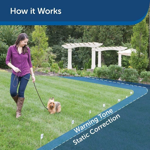 Petsafe stubborn dog transmitter hotsell