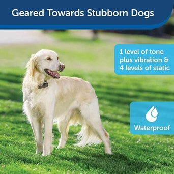 PetSafe PetSafe Stubborn Dog Add-A-Dog Extra Receiver Collar
