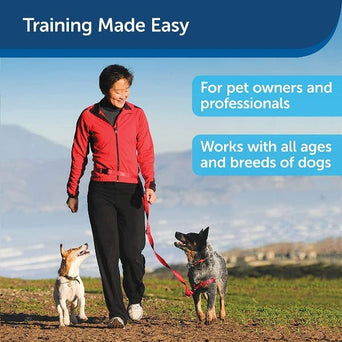 PetSafe PetSafe Treat & Train Remote Reward Dog Trainer