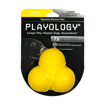 Playology Playology Squeaky Bounce Ball