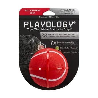 Playology Playology Squeaky Chew Ball