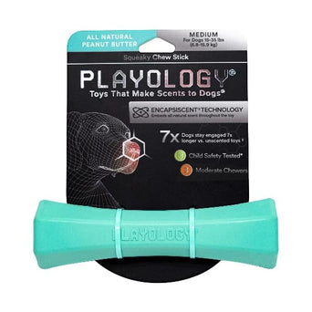 Playology Playology Squeaky Chew Stick