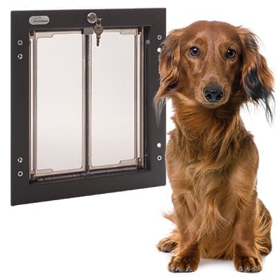 Medium dog doors hot sale