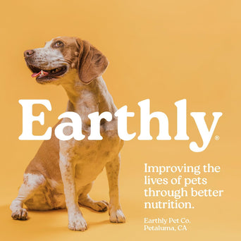 Presidio Earthly Pill Buddy Naturals Pill Hiding Treat for Dogs; Grilled Duck Recipe