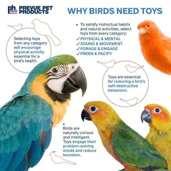 Prevue Pet Products Prevue Pet Products 3-Box Stuff & Hide Bird Toy
