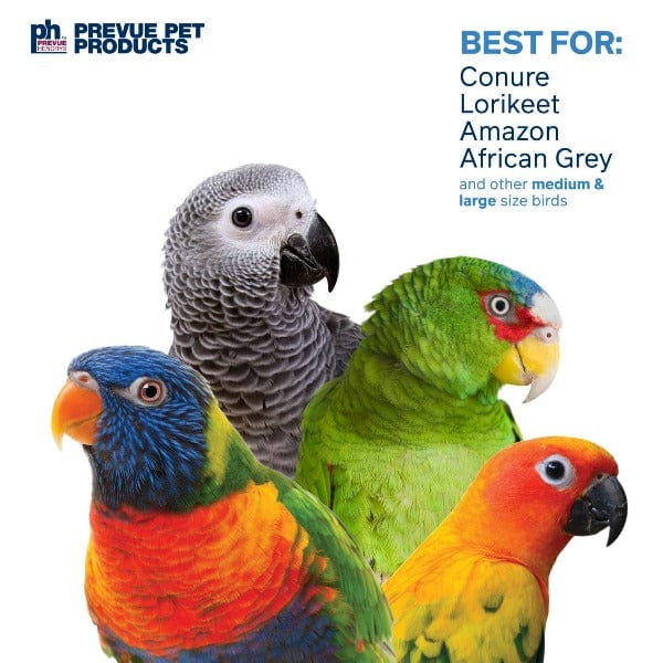 Prevue Pet Products Prevue Pet Products Block Rock Bird Toy