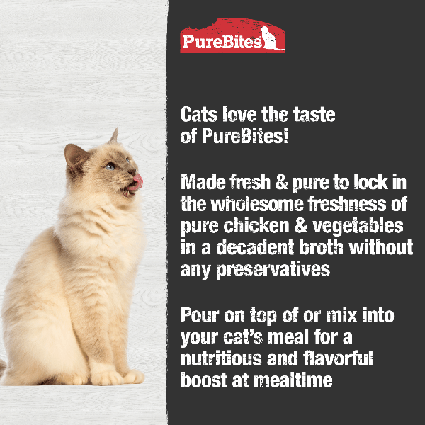 Petland cats hot sale