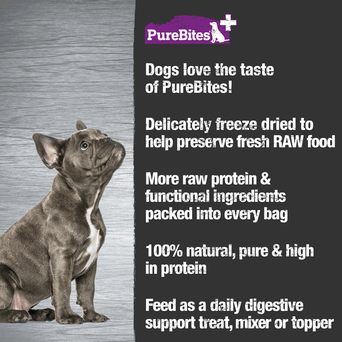 PureBites PureBites Digestion Freeze Dried Dog Treats