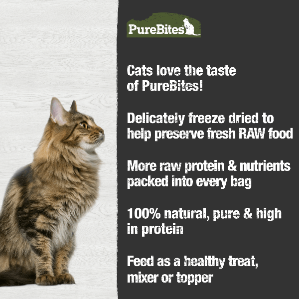 PureBites PureBites Freeze Dried Beef Liver Cat Treat