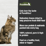 PureBites PureBites Freeze Dried Beef Liver Cat Treat