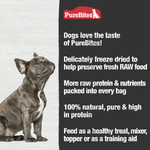 PureBites PureBites Freeze Dried Chicken Breast Dog Treats