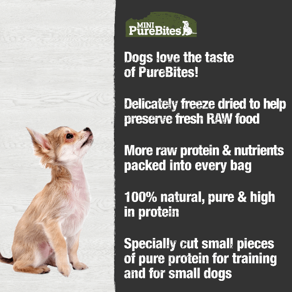 PureBites PureBites Freeze Dried Mini Training Beef Liver Dog Treats