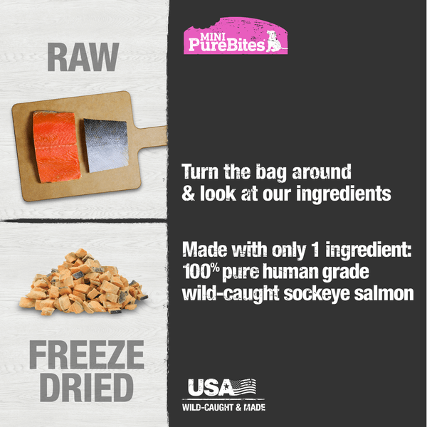 PureBites PureBites Freeze Dried Mini Training Salmon Dog Treats, 49g