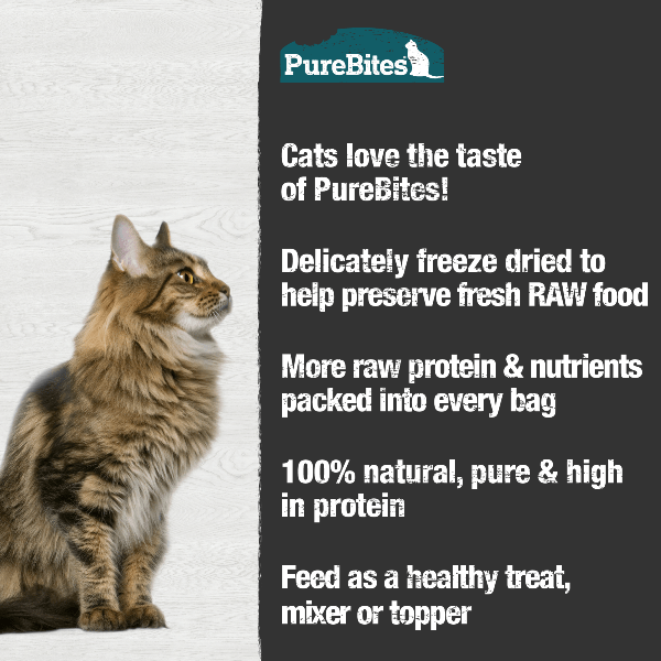 PureBites Freeze Dried Minnow Cat Treat 66g