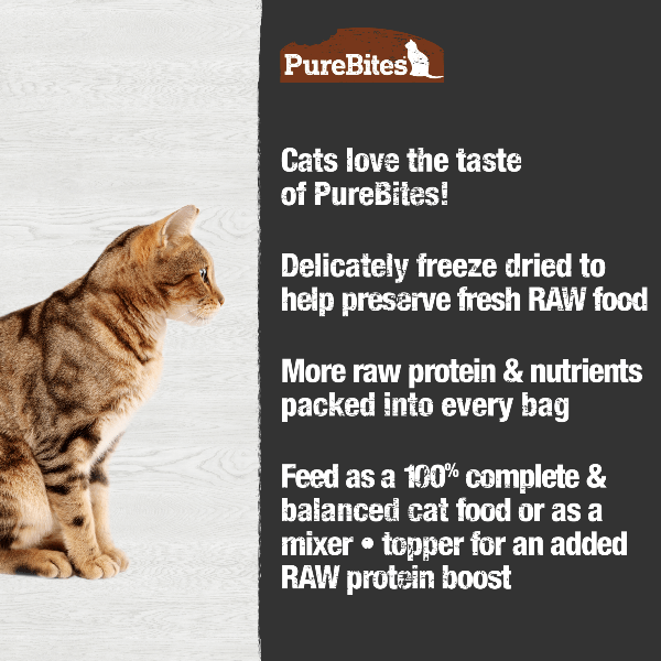 PureBites PureBites Freeze Dried Turkey Recipe Food Topper for Cats