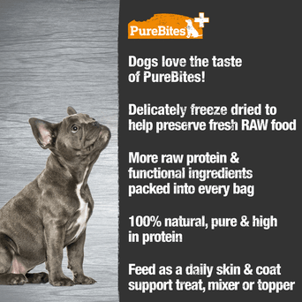 PureBites PureBites Skin & Coat Freeze Dried Dog Treats