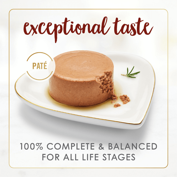 Beef pate cat food hot sale