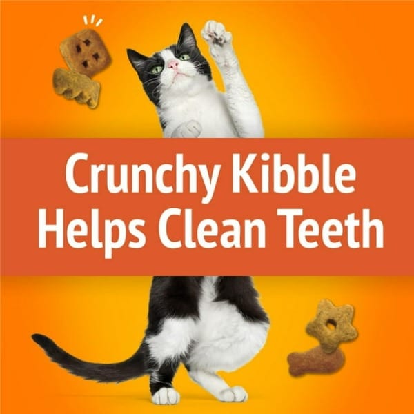 Purina Friskies Party Mix Original Crunch Cat Treats