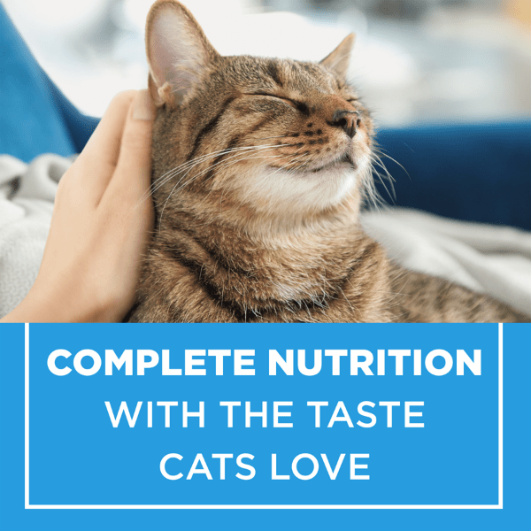 Cat Chow Complete Real Chicken Dry Cat Food 8 Kg