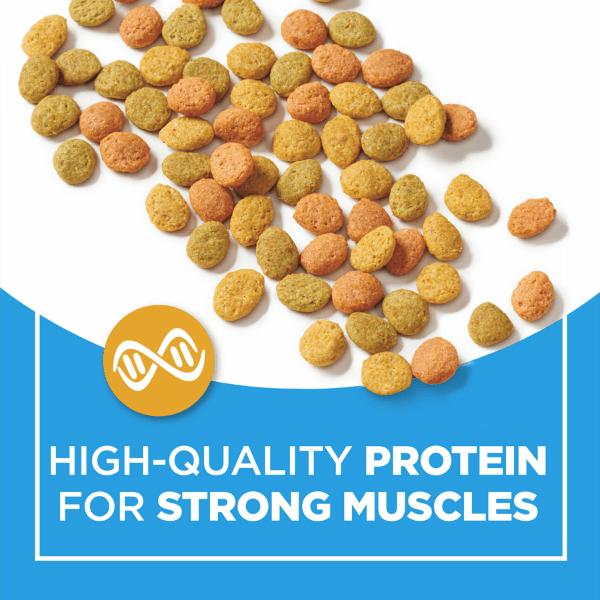 Purina cat best sale chow food