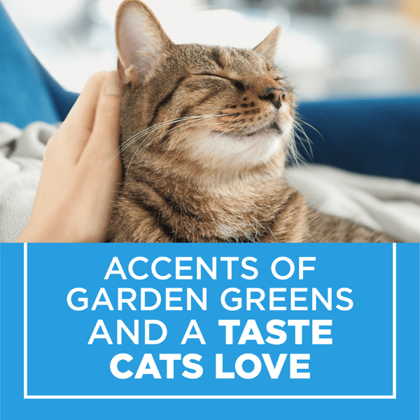 Purina indoor cat food clearance