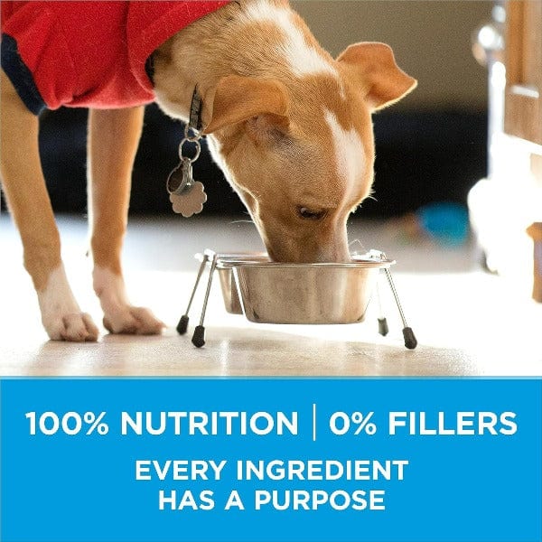 Purina Purina ONE +Plus Small Breed Formula Adult Dry Dog Food, 1.81kg