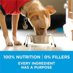 Purina Purina ONE +Plus Small Breed Formula Adult Dry Dog Food, 1.81kg