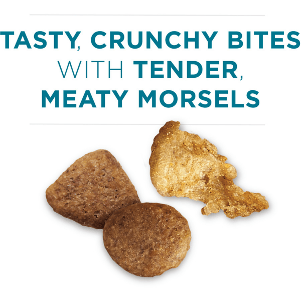 Purina one online free cat food