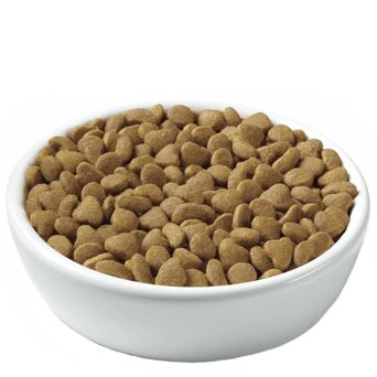 Purina Purina Pro Plan Adult Indoor Turkey & Rice Dry Cat Food