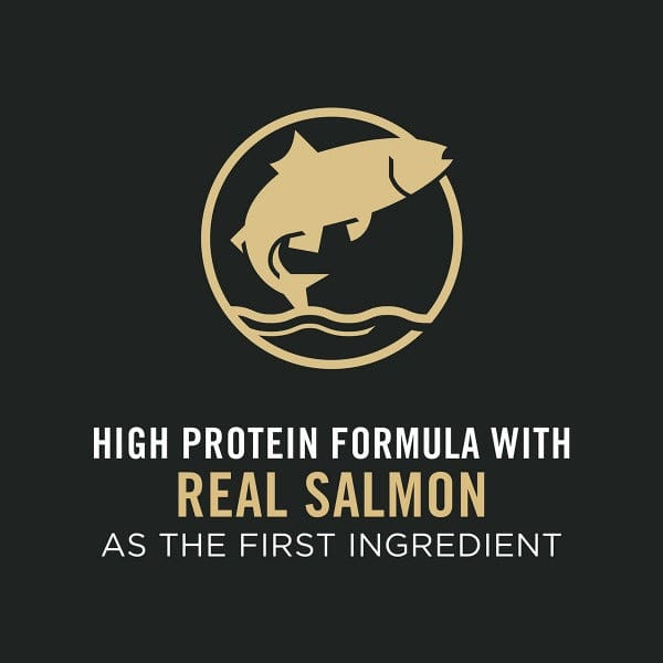 Purina Purina Pro Plan Adult Salmon & Rice Dry Cat Food
