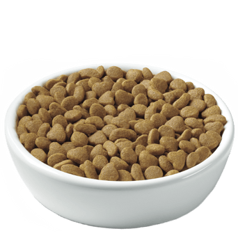 Purina Purina Pro Plan Adult Sensitive Skin & Stomach Lamb & Rice Dry Cat Food
