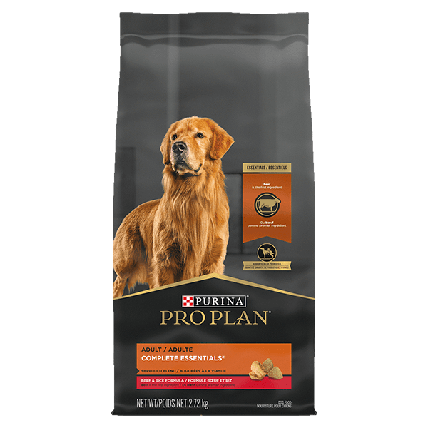 Champion pet food purina outlet